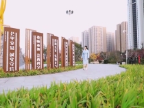 创文公益视频｜你我微力量 汇聚城市大文明