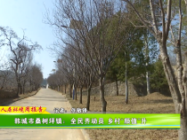 韩城市桑树坪镇：全民齐动员 乡村“颜值”升