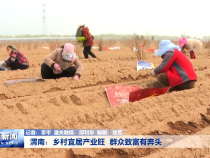 渭南：乡村宜居产业旺  群众致富有奔头