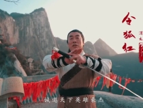 “拳出少林 剑归华山”陕西文旅课代表交作业啦~
