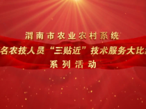 “三贴近”—农技服务进乡村  渭南市种子工作站：抓早 抓好 让苗情转化正常