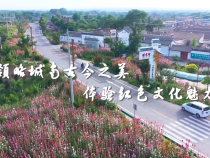 毓秀芝川 魅力城南 邀您一起赏黄河美景 品沿黄美食 感受红色故事