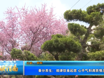 【健康渭南】春分养生：规律饮食起居 心平气和调养情志