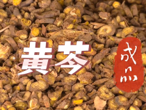 合阳县和家庄镇：发展中草药产业 助力乡村振兴