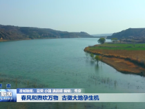 春风和煦吹万物  古徵大地孕生机
