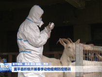 富平县积极开展春季动物疫病防控培训
