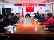 蒲城縣代家村“三級議事協商”：促凝聚 謀發展 助力鄉村振興