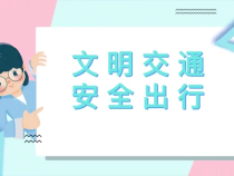 创文公益视频｜文明交通  安全出行