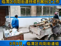 《创建进行时》临渭区向阳街道持续开展创文工作