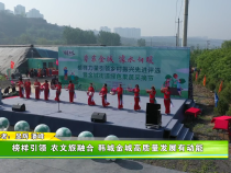 榜样引领 农文旅融合 韩城金城高质量发展有动能