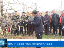 渭南：科技赋能乡村振兴  实用技术助力产业发展