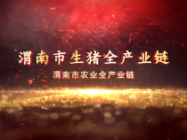 渭南市生猪全产业链