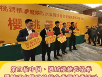 【澄城樱桃甜蜜蜜】第四届中国·澄城樱桃营销季暨陕西水果网络特色季樱桃季活动将于5月18日启动