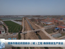 渭南市推动农田排水（碱）工程 确保粮食生产安全