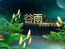 【渭南文旅】主播说节气——谷雨
