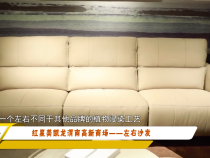 红星美凯龙渭南高新商场——左右沙发