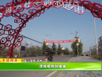 秦果佬