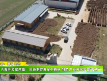 合阳县和家庄镇：因地制宜发展中药材 特色产业开出致富“良方”