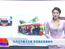 牡丹花开魅力无限 菏泽福彩真情相约