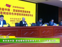 第四届中国·澄城樱桃营销季暨陕西水果网络特色季樱桃季活动将于5月18日启动