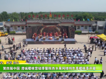 第四届中国·澄城樱桃营销季暨陕西水果网络特色季樱桃季开幕