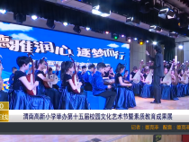 【渭南教育】渭南高新小学举办第十五届校园文化艺术节暨素质教育成果展