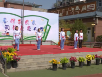 【渭南教育】临渭区胜利小学举行读书展演活动