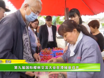 第九届国际樱桃交流大会在澄城县召开