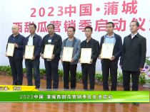 2023中国·蒲城西甜瓜营销季在龙池启动