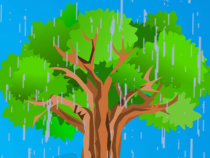 【防灾减灾宣传周】雷雨天气防护小知识