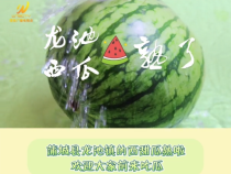 【蒲城西瓜 瓤瓤上口】蒲城县龙池镇的西甜瓜熟啦 欢迎大家前来吃瓜