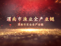 渭南市渔业全产业链
