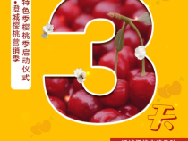 【澄城樱桃甜蜜蜜】距第四届中国·澄城樱桃节还有3天