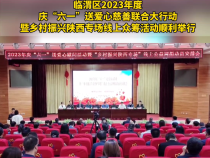临渭区2023年度庆“六一”送爱心慈善联合大行动暨乡村振兴陕西专场线上众筹活动顺利进行
