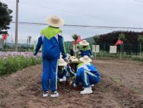 【渭南教育】陕西省教育厅劳动教育培训来渭南市示范性综合实践基地现场观摩