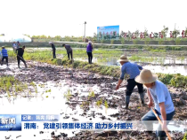 渭南：党建引领集体经济 助力乡村振兴