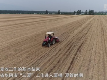 陕西华阴：农技服务助力夏播高效开展