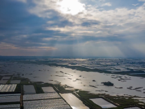 大荔县朝邑湖湿地：湖光潋滟美景如画 留下“天堂绿肺”最美底色