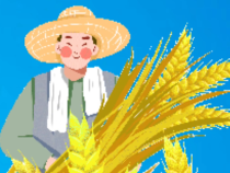 【渭南应急】小白说安全：农忙时节 防火安全要牢记