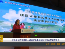 【渭南教育】陕西省预防未成年人网络沉迷典型案例分享会在我市召开