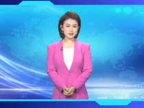 【渭南工信】渭南的企业赶快注册“陕企通”小程序了！