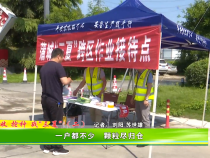 《抢收 抢种 战“三夏” 》一户都不少   颗粒尽归仓
