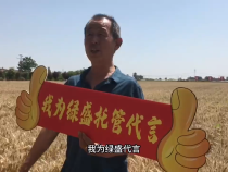 绿盛托管 撩咋咧