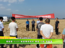 抢收 抢种 战“三夏”（六）增密度“5335”配套集成技术“两选 三防”很重要