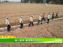 抢收 抢种 战“三夏”——暖心服务 确保颗粒归仓