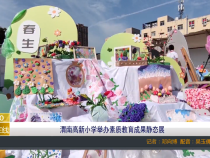 【渭南教育】渭南高新小学举办素质教育成果静态展