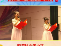童心向党 唱响新时代——临渭区西张小学举行校园艺术节暨庆六一文艺汇演