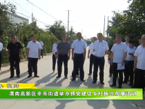 渭南高新区辛市街道举办抓党建促乡村振兴观摩活动