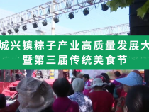 2023蒲城兴镇粽子产业高质量发展大会暨第三届传统美食节 6月9日盛大启幕