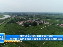 《陕西省乡村振兴促进条例》施行构建以县城为枢纽以小城镇为节点的县域经济体系